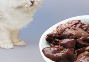 Cats eat liver