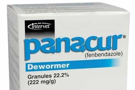 Panacur (Fenbendazole) for cats