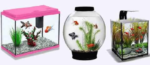 fish tank size