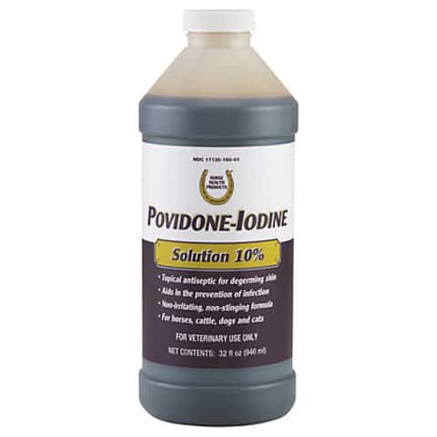 povidone iodine for dogs