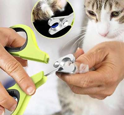 JOFUYU Pet Nail Clippers for Small Animal