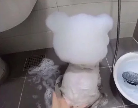 Not every cat likes to soak in foam