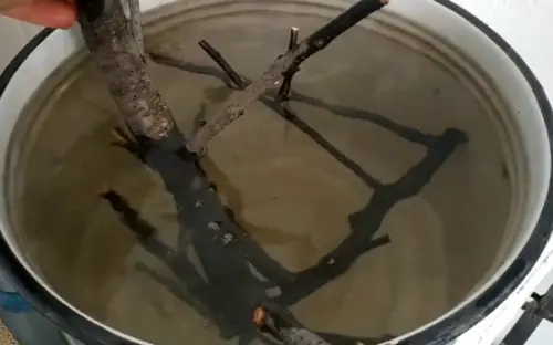 Boiling and soaking the wood